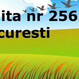Gradinita Nr. 256